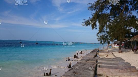 自然风景,世界,niceview,坦桑尼亚,美丽,蓝天,树,海,海滩,天空,蓝