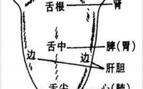 宝宝吃了退烧药多久能见效