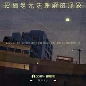 爱情是无法理解的现象(Nicky)