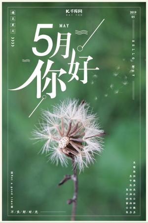 2019文艺风小清新5月你好主题海报写真封面设计素材psd海报(22)