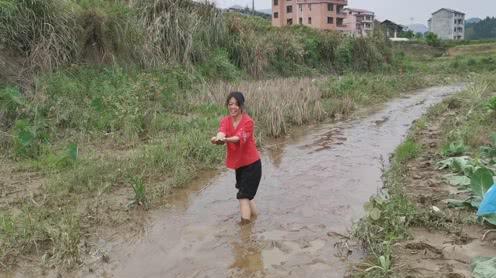 湖南农村洪水趟过河岸，路上都有鱼了，农村姑娘抓鱼都舍不得回家