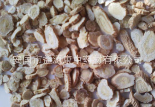 板蓝根,靛青根,蓝靛根,靛根,草大青的跟,大青叶根,马蓝,商品大图