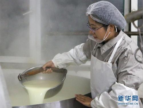 返乡创业女大学生卜睿&lt;/strong&gt;:做好豆腐产业致富