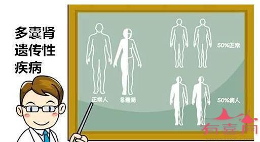怎么判断孩子的肾有没有问题
