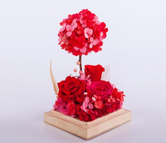 永不凋谢的鲜花--永生花