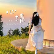 心墙(一只球)