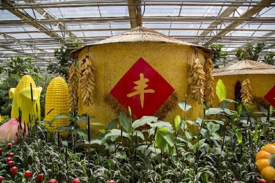 表党中央春种一粒粟,秋收万颗子秋天不仅是美丽的季节也是丰收
