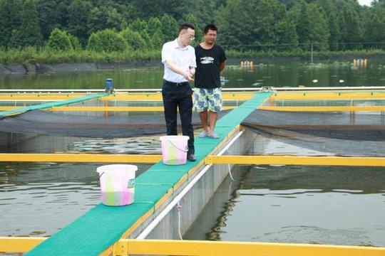 农村创业的8大市场:看看你的你的创业优势属于哪个市场?