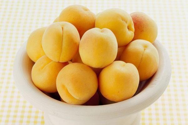 龙眼孕妇能不能吃