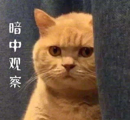 宝宝午睡突然大哭怎么办