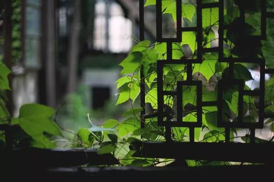 【岁月如歌】十年未称平生意,好得辛勤谩读书