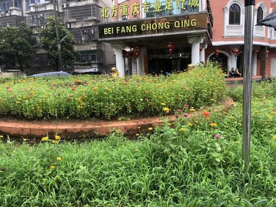浙江农林大学暨阳学院人文学院