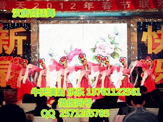汉唐宫廷舞最具中国特色的古典舞蹈