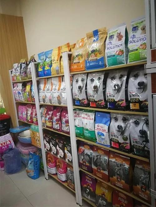 宠物正文想自己创业,但除了原本的工作外,对其它任何生意都没有