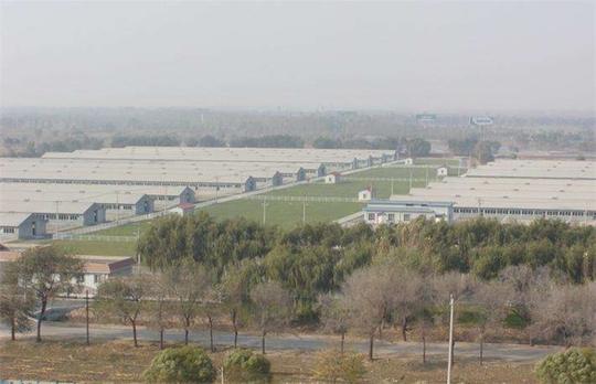 2019农村养殖什么好?5个养殖项目供您参考!