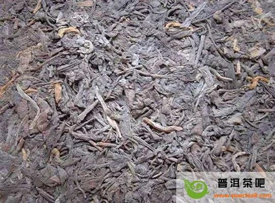 如何区别霉变，安化黑茶的金花与普洱茶的白霜