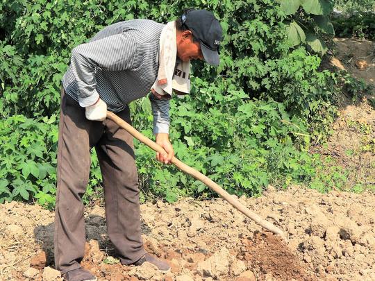 农村老人高温下淘金每天挣钱不足50元背后故事让人心酸