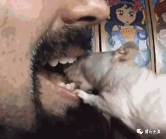 小孩长牙齿不舒服怎么办
