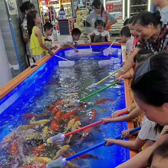 创业摆摊钓动物水池设备捞龟兔鱼鼠供氧玻璃缸喂奶鱼动物方向池