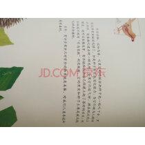德国教育观把孩子看成一粒种子