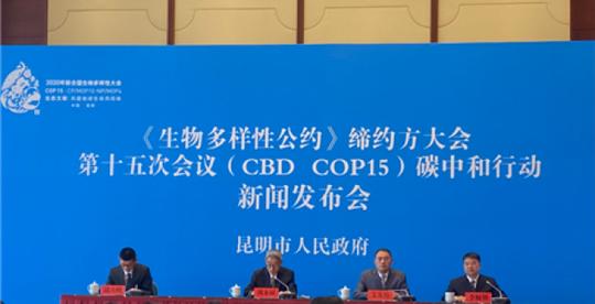 昆明新建三万余亩碳汇林抵消cop15温室气体排放