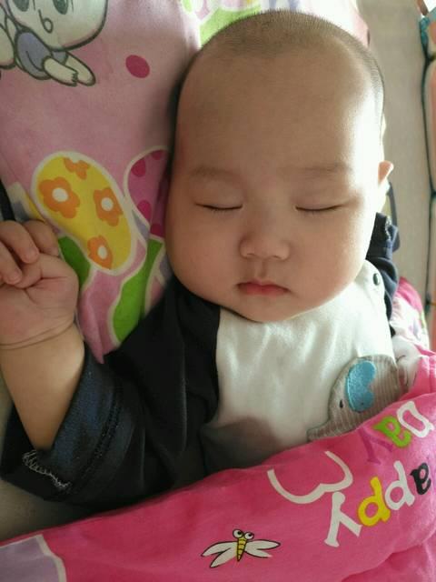 养儿方知父母恩感恩的句子心情