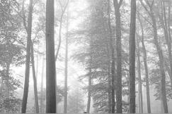 august(Taylor Swift)