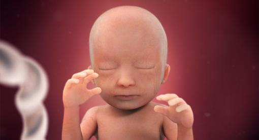 孕期太长会影响胎儿发育吗