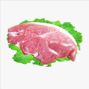 猪科猪属动物的肉