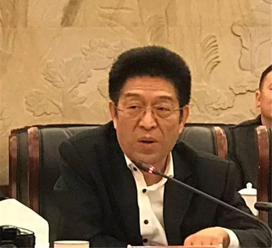 中国电子商务商协会联盟主席、国家商务部电子商务和信息化司原巡视员聂林海在会上发言.png
