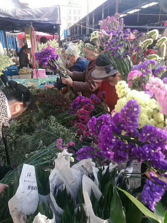 2018地摊爆卖品跑江湖干花批发鲜花永生花新品栀子花厂家货源包邮