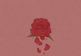 玫瑰窃贼(柳爽)