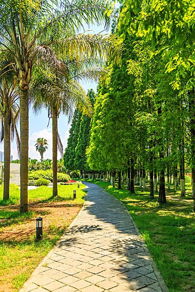 公园_绿色_树_图片大全—全景创意图库（quanjing.com）中国领先的正版图片视频素材网站