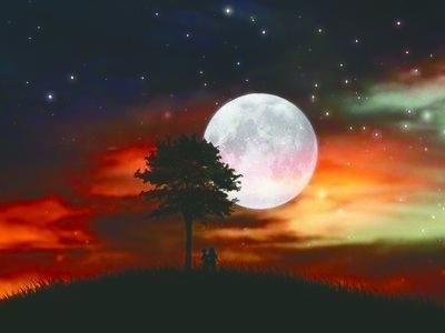 明月夜