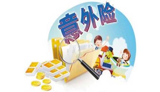 2019国寿计生家庭意外险人寿保险家庭意外保险