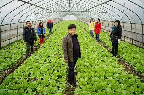 新型农民工路晓华的电商创业路