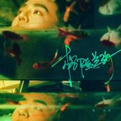 格陵兰海(朱兴东)