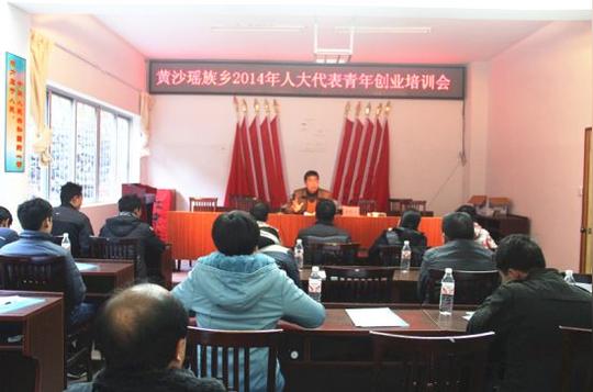 临桂县黄沙乡人大代表青年创业培训会成功举办