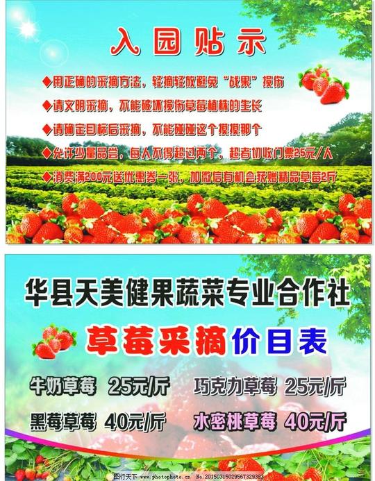 草莓农场喷绘入园贴示采摘园蔬菜设计广告设计广告设计cdr