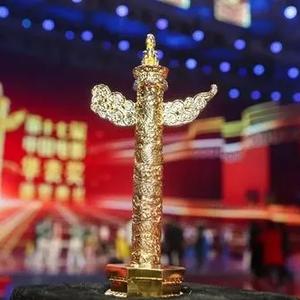 设立于1995年的中国电影奖项