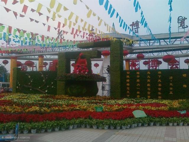 魅力花都,绿色鄢陵,河南鄢陵景点
