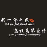 闪电客我一介平民车贴怎敢高攀爱情穷不是我的选择创意个性车装饰贴一介平民【白色字单张】70cm