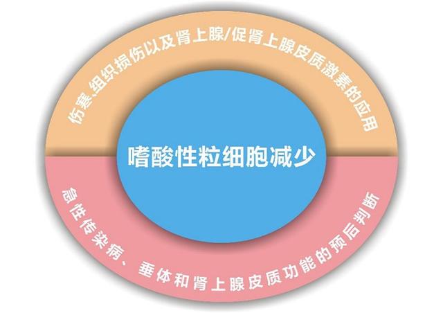 孕妇嗜酸性粒细胞偏高是怎么回事