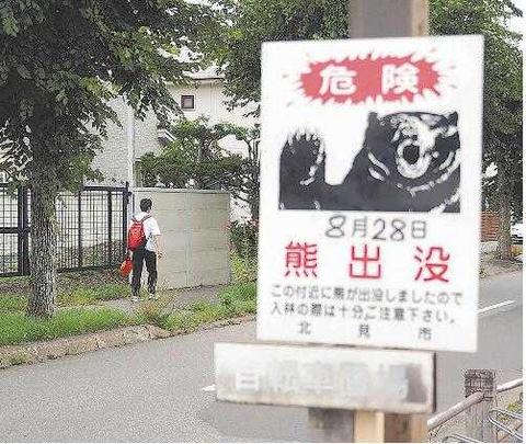 日本熊出没