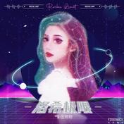 洛希极限(space x)