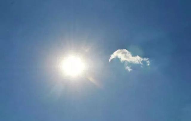夏至这天怎么养生