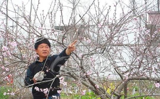 刘忠:自主创业种果树育花卉陶冶情操