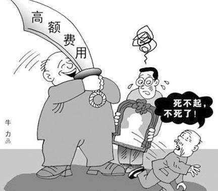 民政部一零一研究所,中国社科院社会科学文献出版社正式发布了《殡葬