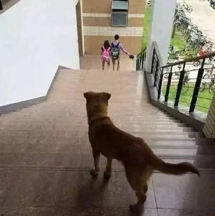 七夕虐狗专场!单身狗慎入!科比:你们敢接受挑战吗?
