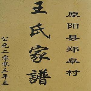 记载家族世系及人物事迹的书